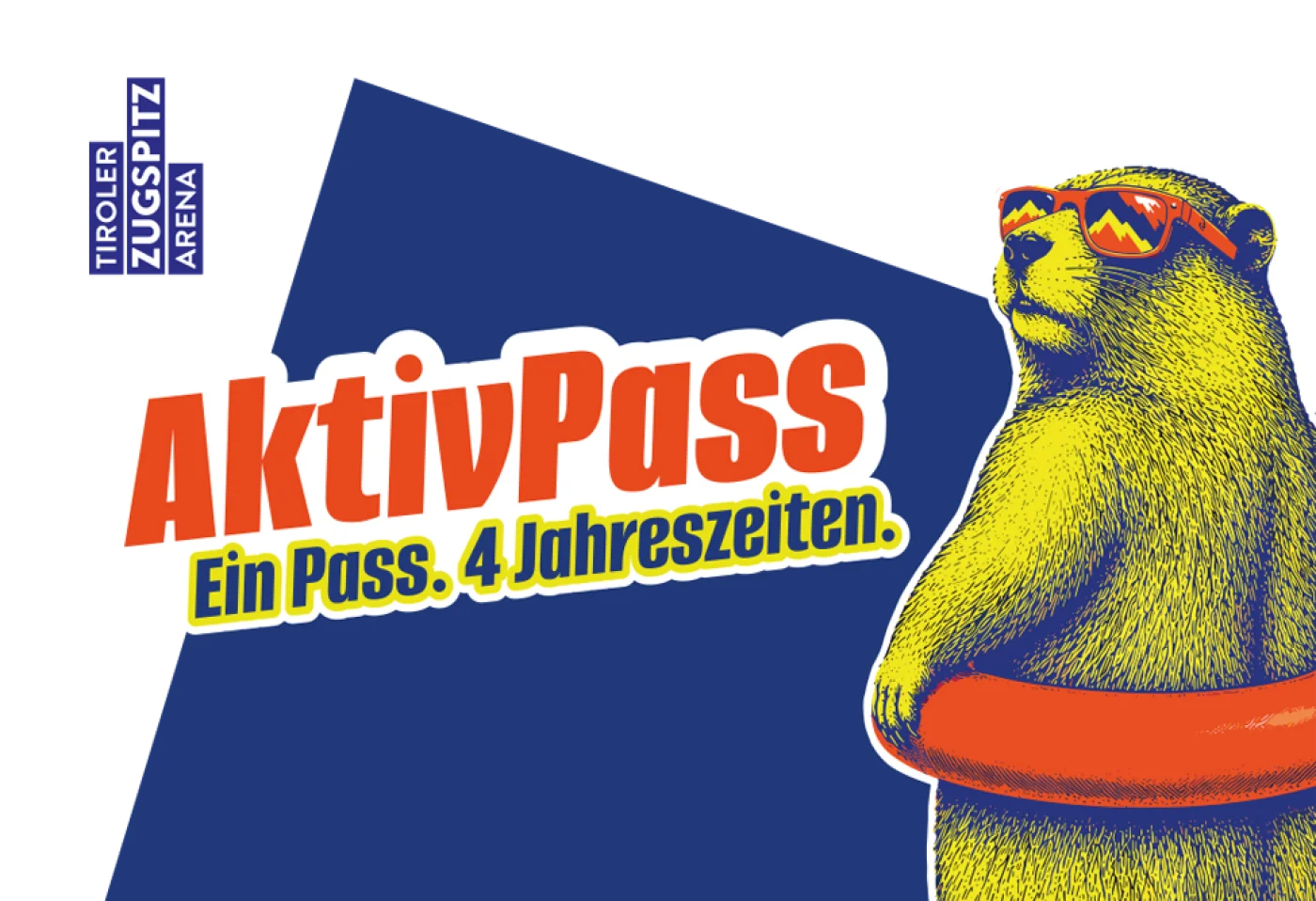 AKTIVPASS1